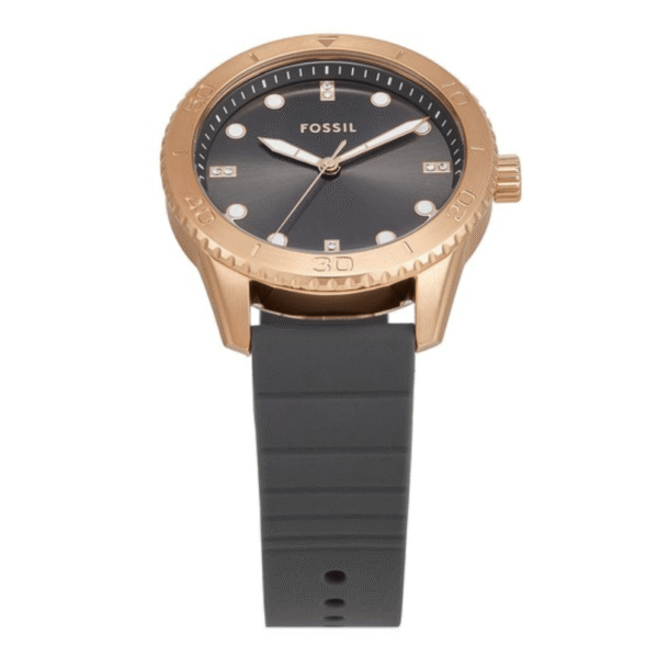 Reloj Fossil pulso Silicona - Image 3